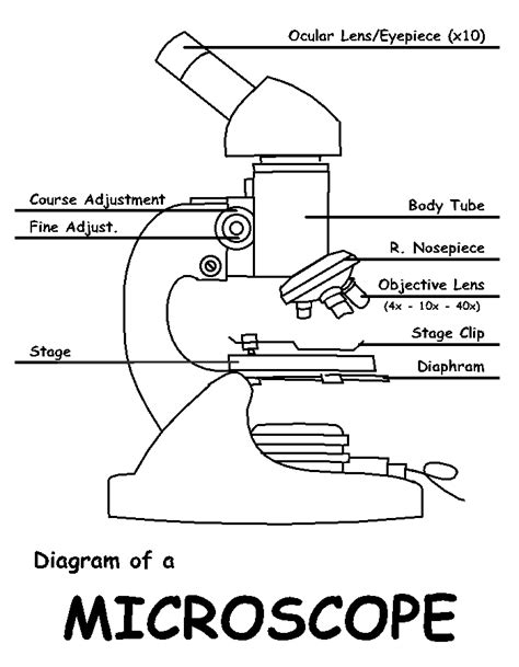 How To Draw A Microscope And Label Nesecale Thiptin