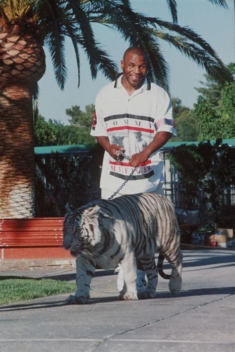 Mike Tyson Makes Big Cats Admission Following Netflixs Tiger King