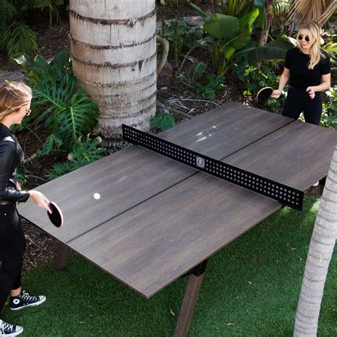 Woolsey Ping Pong Table Cool Sht I Buy