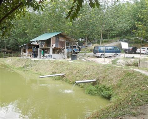 Kali ini kita memancing di bagan lalang, selangor pula! 12 Tempat Memancing Di Selangor Best Dan Sesuai Untuk Kaki ...