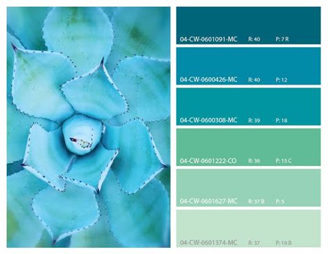 Teal And Turquoise Color Palette We Are All Fond Of These