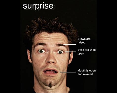Micro Expression The Facial Expressions Of The 7 Basic Emotions At A
