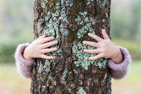 Girl Hiding Behind A Tree Stock Image C0340232 Science Photo Library