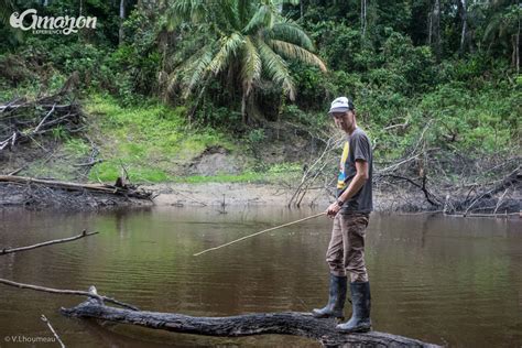 Boot barn stock forecast, price & news. 6 Days 5 Nights on Pacaya Samiria National Reserve ...