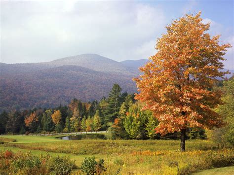 43 Vermont Autumn Wallpaper On Wallpapersafari