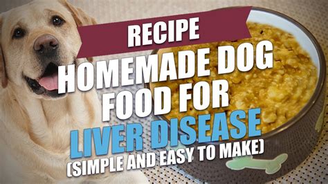 10 Liver Disease Dog Food Products To Boost Your Poochs Health Furry