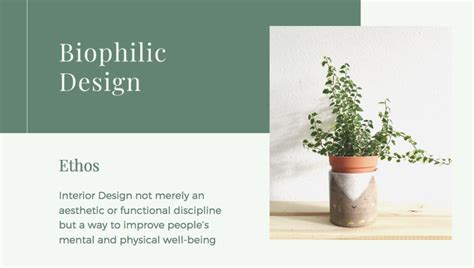 Biophilic Design And Its Impact On Your Mental Health Cottage Fever