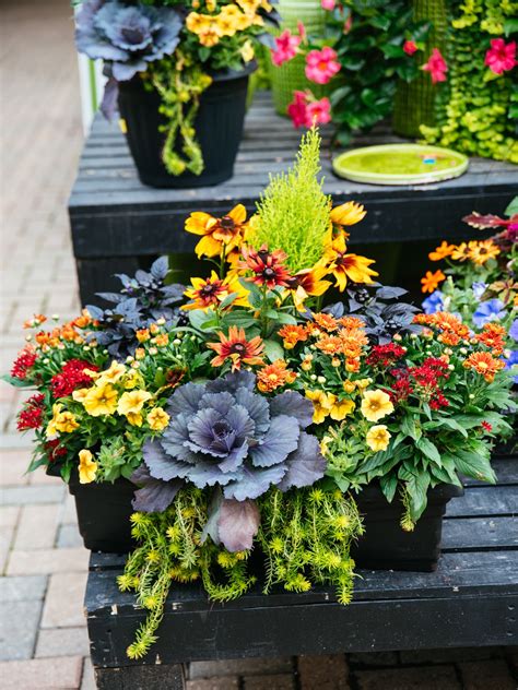 Early Fall Annuals Container In 2020 Garden Center Fall Containers