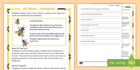 Honeybee Reading Comprehension Teacher Made Twinkl