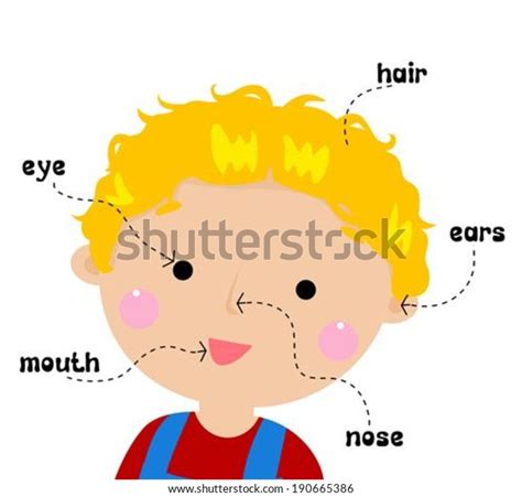 Vocabulary Part Face Stock Vector Royalty Free 190665386