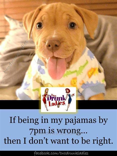 Pajamas By 7pm 😄😄😄 I Like That Idea 🌟🌟🍷🍷🍷 Puppies In Pajamas