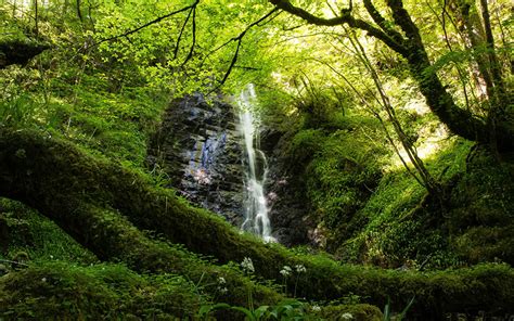 Image Scotland Highlands Waterfall Crag Nature Waterfalls Moss