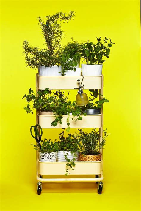 The Ikea RÅskog Cart As Herb Garden Herb Garden In