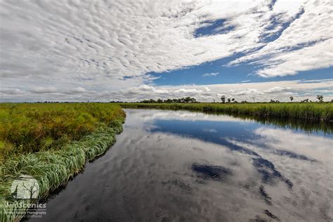 Okavango River In Green Season Wild Scenics Photography