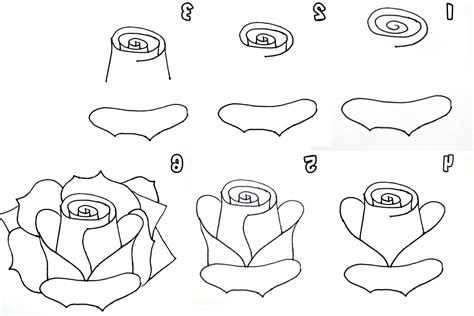 How To Draw Rose Step By Step Warehouse Of Ideas