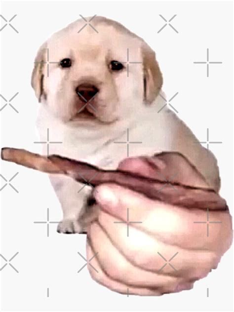 Dog Holding Blunt Sticker By Impulsee Redbubble