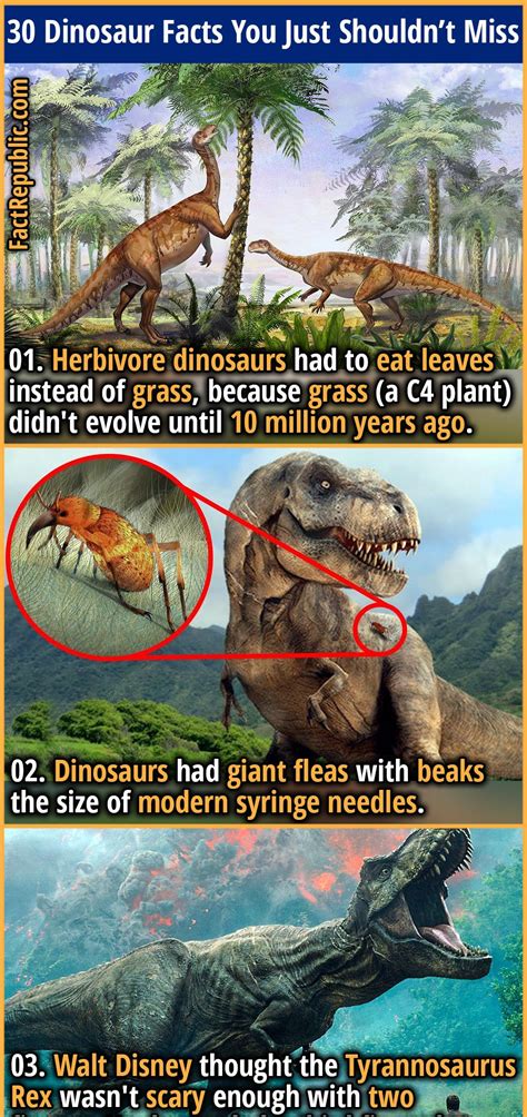 Dinosaur Didyouknow Interesting Fascinating Earth History Science True