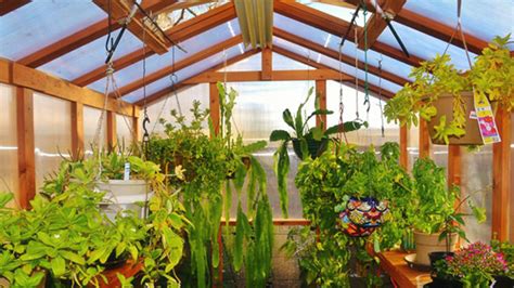 Growing Plants In A Greenhouse 101 T5 Grow Light Fixtures