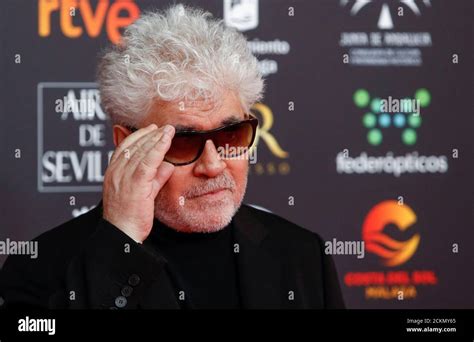 Spanish Filmmaker Pedro Almodovar Poses On The Red Carpet At The