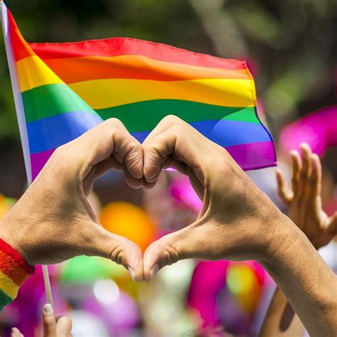 Orgullo Gay 2020 Conoce El Significado De Cada Bandera Lgbt La