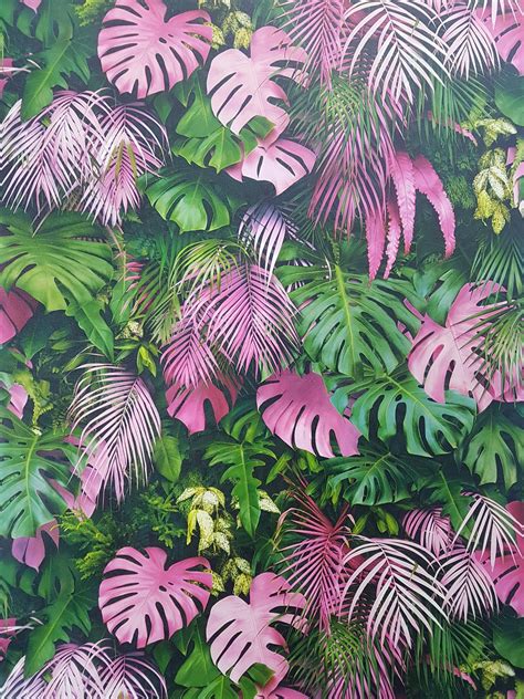 Pink Palm Leaf Wallpapers Top Free Pink Palm Leaf Backgrounds