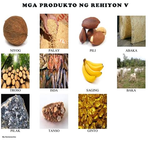 My Homeworks Mga Produkto Sa Bawt Rehiyon Ng Pilipinas Rehiyon V