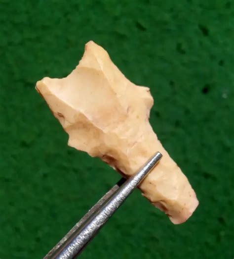 Rare 1 12and Paleo Drill Section Tennessee Arrowhead Authentic Indian