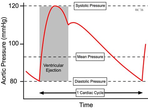 Arterial Pressure Pulse Arterial Pressure Medical Ultrasound Icu