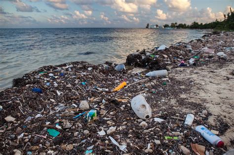 64 Million Tons Of Trash Dumped In The Ocean By Barkibu Barki News