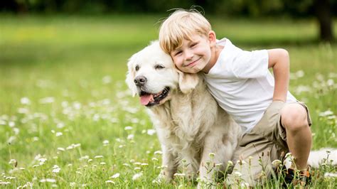 The Science Behind The Bond Between Dogs And Humans