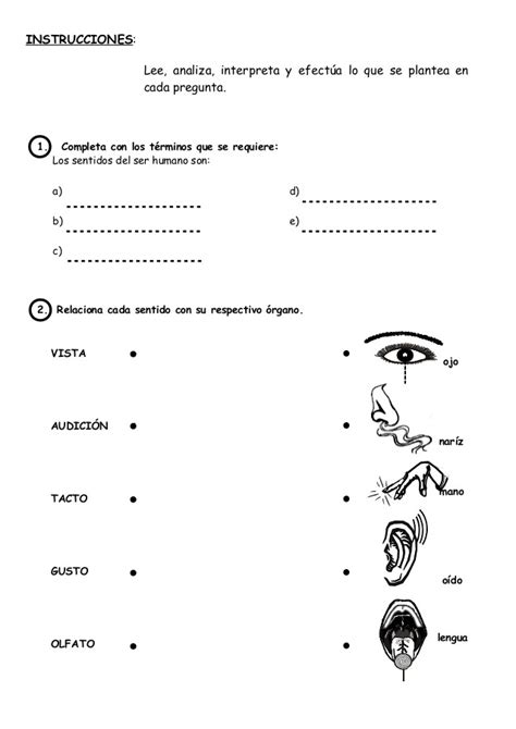 Docenteca Los Sentidos ExplicaciÃ³n Ejercicios