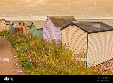 A Row Of Beach Huts Budleigh Salterton East Devon Uk Stock Photo Alamy