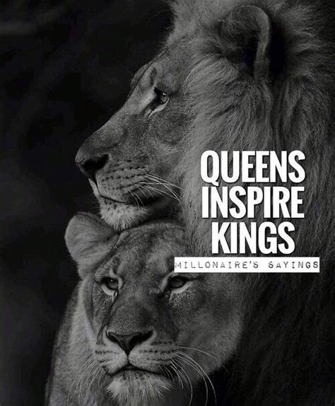 We did not find results for: Pin by Usman Naeem on special | Lion quotes, Lion love, King quotes