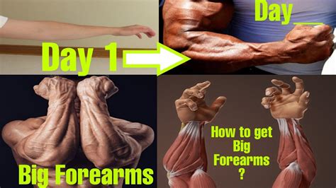 बाजू की कलाइयां कैसे मोटी करें Tips To Get Big Forearms Sahil