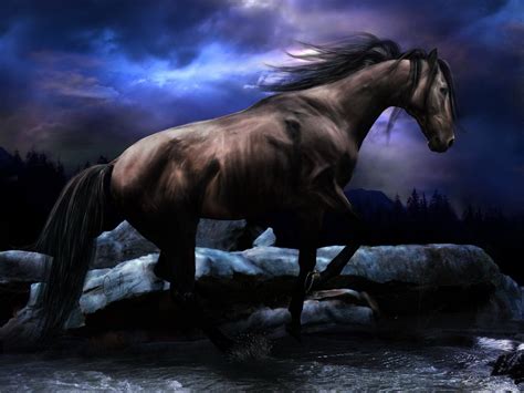 35 Cool Horse Computer Wallpaper Wallpapersafari