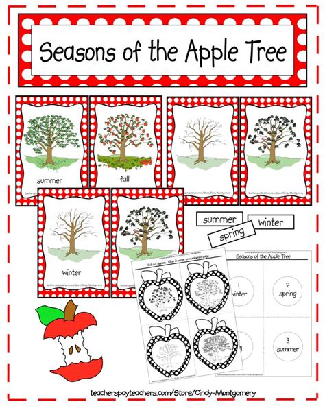 Seasons Of The Apple Tree Worksheet With Pictures And Words To Help