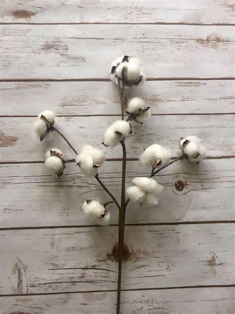 on sale 20 cotton stem faux farmhouse cotton stem cotton bolls cotton stems