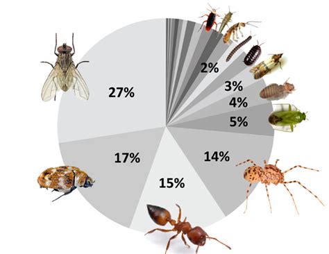 For instance, a larva may look more like a worm than an insect. Big Flies In The House - Architectural Designs