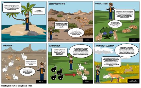 Charles Darwin Evolution Explanation Storyboard
