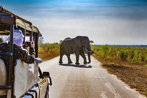 Explore O Parque Nacional Kruger Segue Viagem