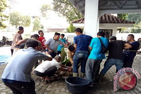 We did not find results for: Taman Hewan Perbaungan - Luas Kebun Binatang Medan 30 ...