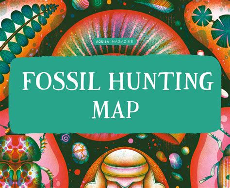 Uk Fossil Hunting Guide Aquila Blog