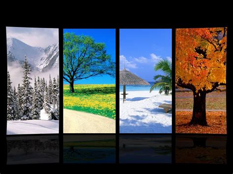Seasons Wallpapers Top Free Seasons Backgrounds Wallpaperaccess