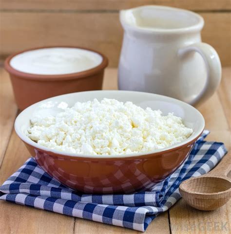 Every dog suffers from diarrhea at some point in their lives. How Safe Is Cottage Cheese for Dogs? (with pictures)