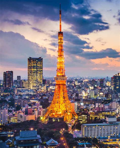 The Perfect Tokyo 5 Day Itinerary And City Guide 2023
