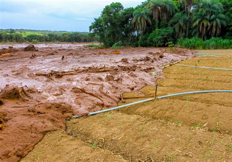 Mining Giant Fined Further 17m Over 2019 Brumadinho Disaster In Brazil