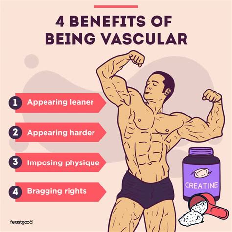 Does Creatine Make You More Vascular What Science Says