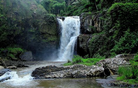 Wallpaper Forest River Rocks Waterfall Jungle Bali Indonesia