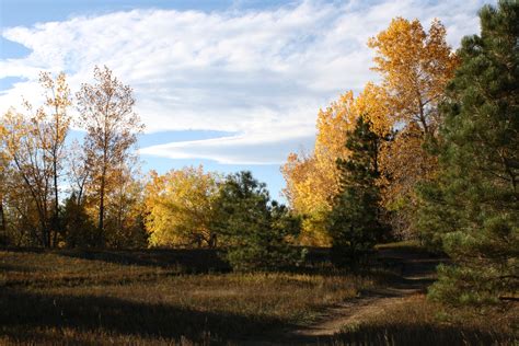 Path Through Fall Meadow Picture Free Photograph Photos Public Domain