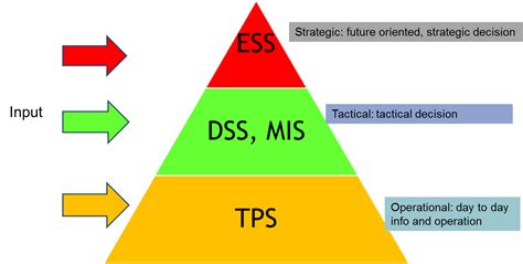 Differenza Tra Sistemi Tps Mis Dss E Ess In Informatica Informatica